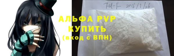 прущие грибы Богородск