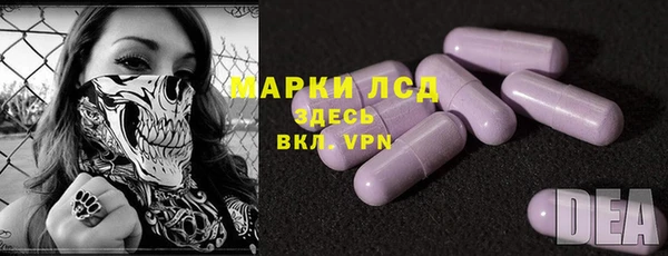 мдпв Богданович
