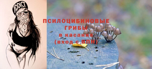 мдпв Богданович