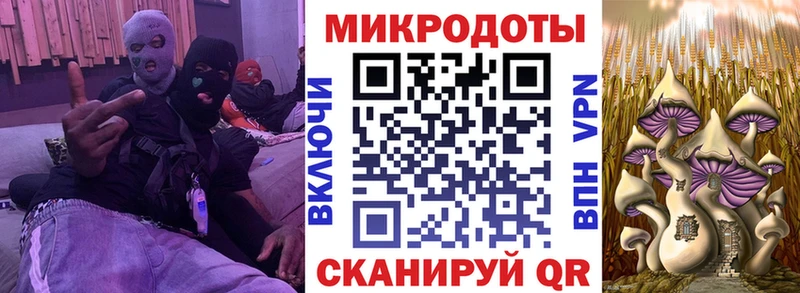 где найти   Торопец  Галлюциногенные грибы ЛСД 