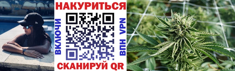 магазин  наркотиков  Торопец  Марихуана план 